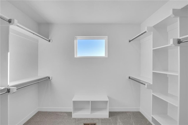 17744 Houston St, Gardner, KS 66030 - walk in closet with carpet