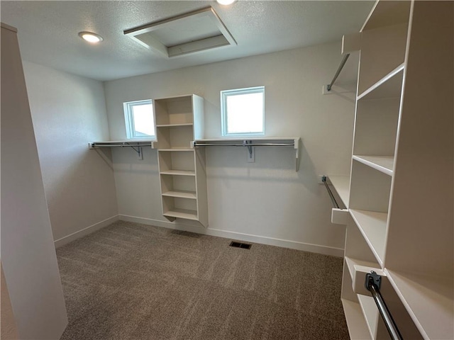 17744 Houston St, Gardner, KS 66030 - spacious closet with attic access and carpet flooring