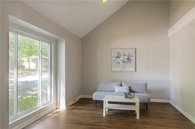 living area featuring dark hardwood / wood-style floors, a healthy amount of sunlight, and high vaulted ceiling