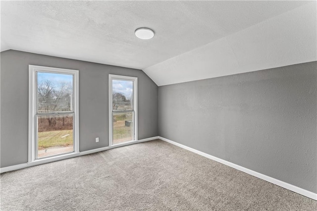 additional living space featuring a textured ceiling, carpet floors, and lofted ceiling