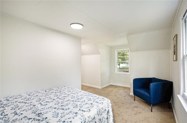 bedroom with light carpet