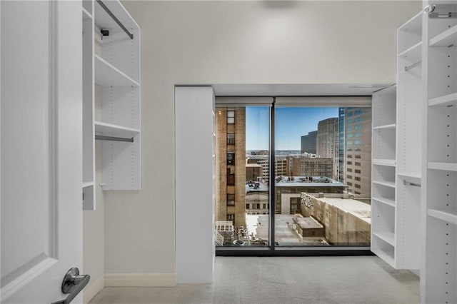 spacious closet with light carpet