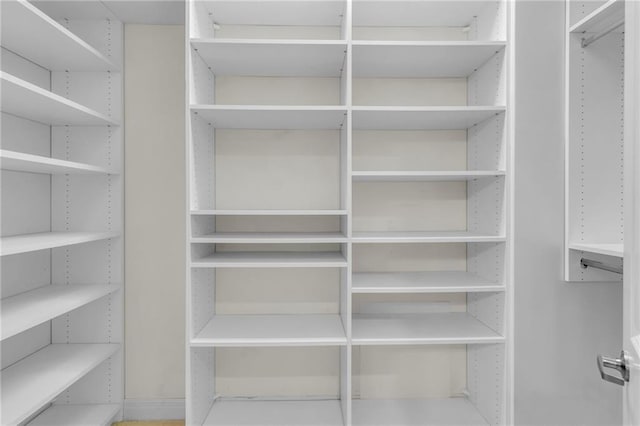 view of spacious closet