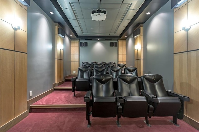 cinema room with carpet