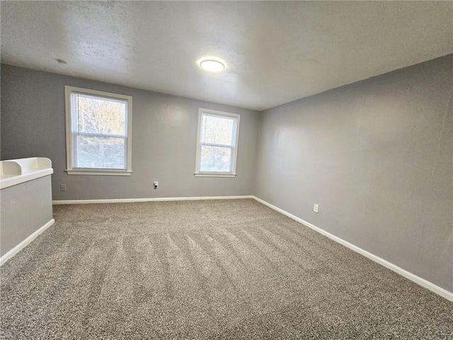 carpeted empty room featuring a healthy amount of sunlight