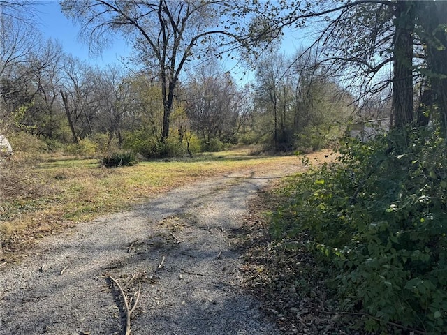 view of road