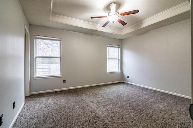 unfurnished room featuring a raised ceiling, a wealth of natural light, and carpet