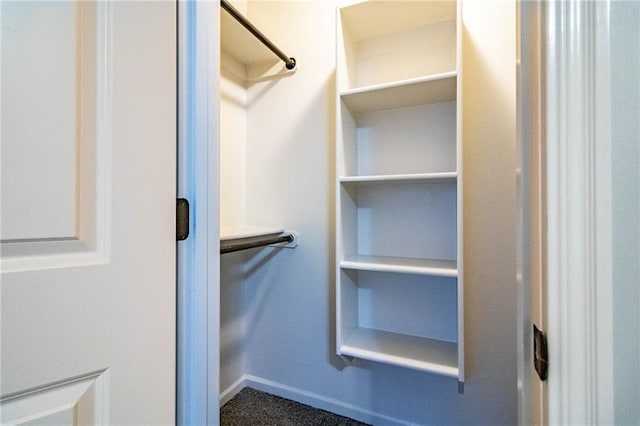 walk in closet featuring carpet flooring