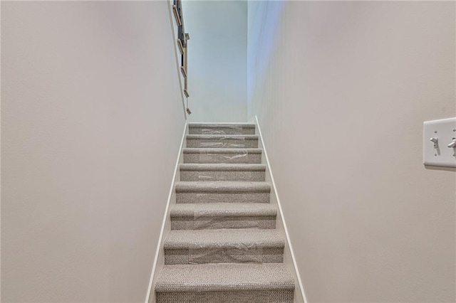 staircase featuring carpet flooring