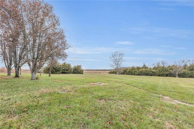 view of yard with a rural view