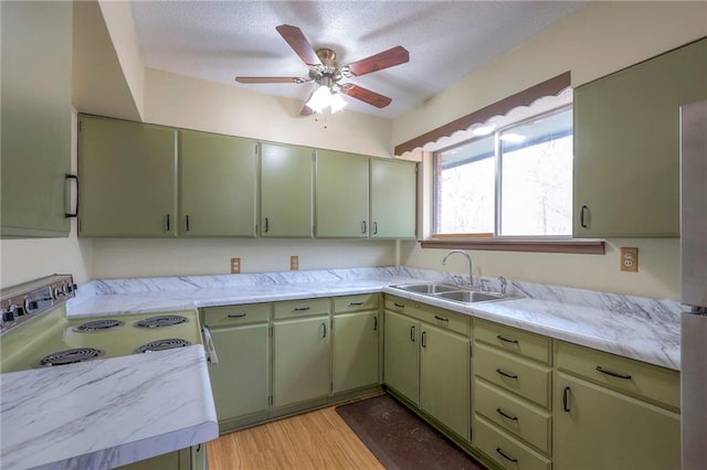 kitchen featuring green cabinets, ceiling fan, sink, and light hardwood / wood-style flooring