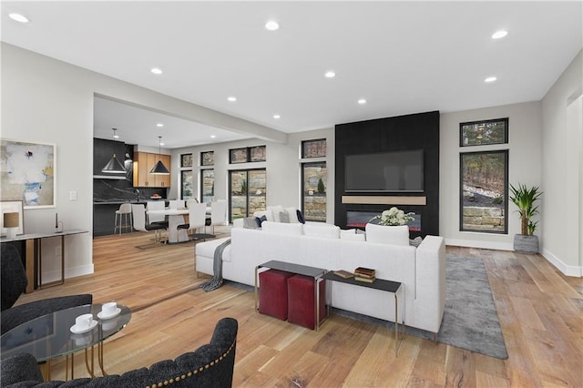 living room with a large fireplace and light hardwood / wood-style flooring