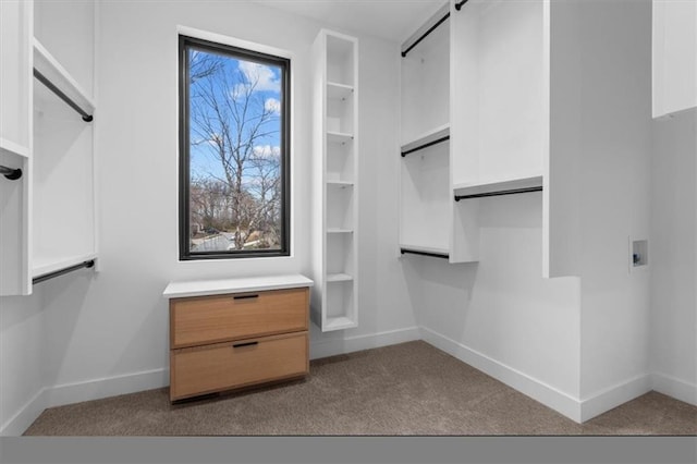 spacious closet featuring light colored carpet