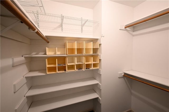 view of spacious closet