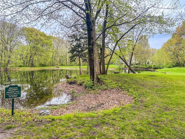 22812 E Bradford Ln, Blue Springs, MO 64015 - view of yard with a water view