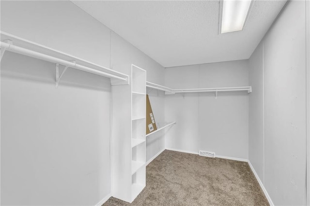 walk in closet featuring carpet flooring