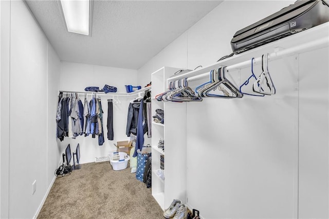 walk in closet featuring carpet floors