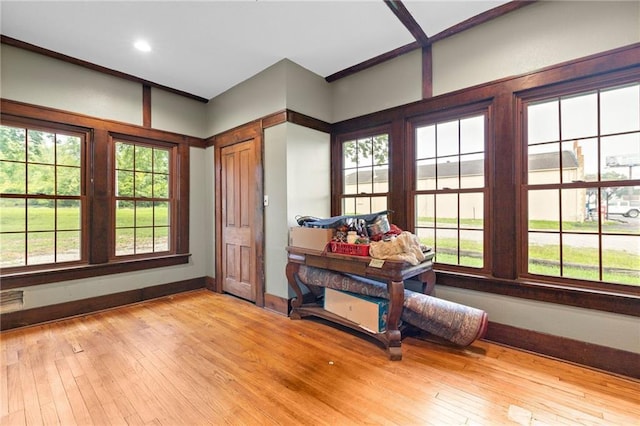 sitting room with light hardwood / wood-style flooring and a healthy amount of sunlight