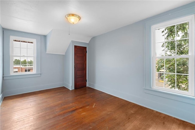 bonus room with dark hardwood / wood-style flooring and a wealth of natural light