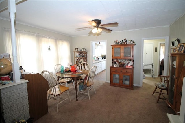 carpeted dining space with ceiling fan and crown molding