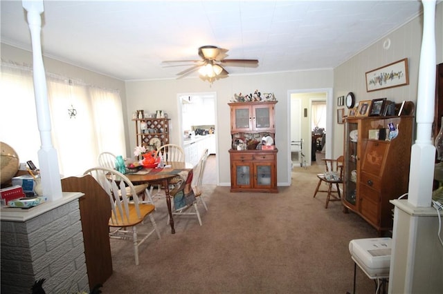 dining area featuring ceiling fan, crown molding, and carpet floors