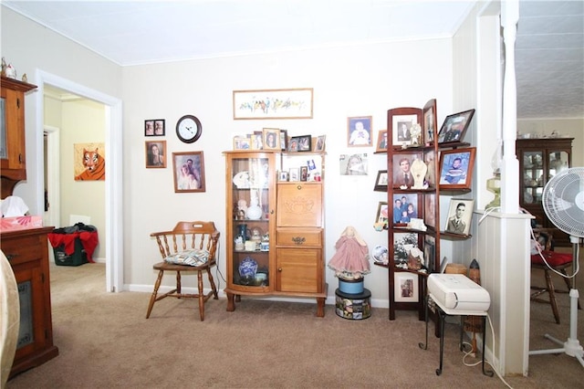 living area featuring carpet flooring and crown molding