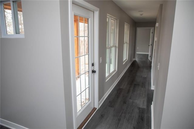 entryway with plenty of natural light and dark hardwood / wood-style floors