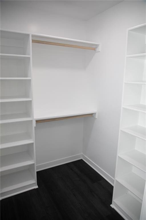 spacious closet with wood-type flooring