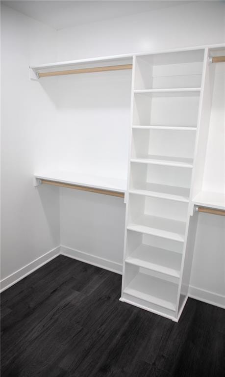 spacious closet with dark wood-type flooring