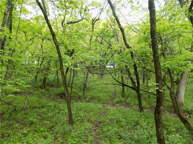 1267 Rock Creek Rd, Williamsburg, KS 66095