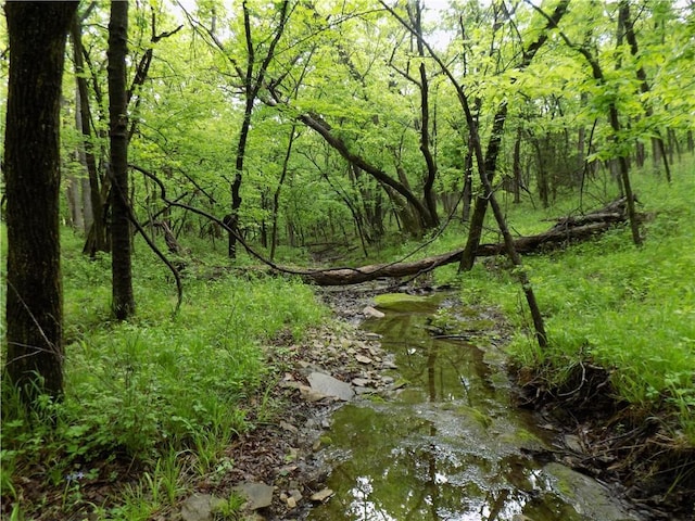 1267 Rock Creek Rd, Williamsburg, KS 66095