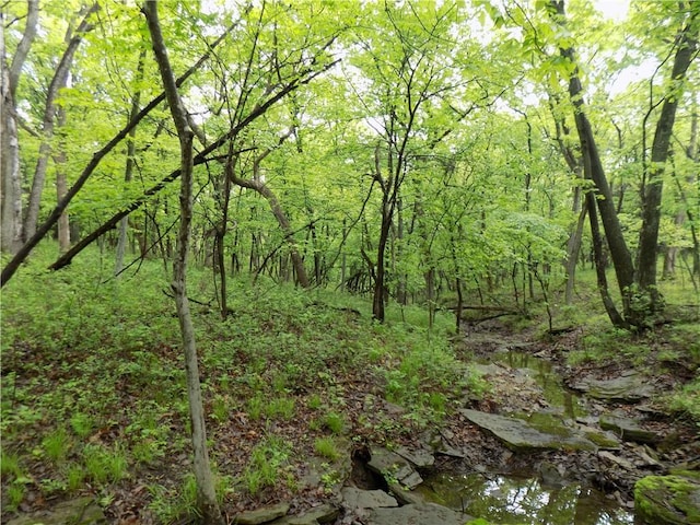 1267 Rock Creek Rd, Williamsburg, KS 66095