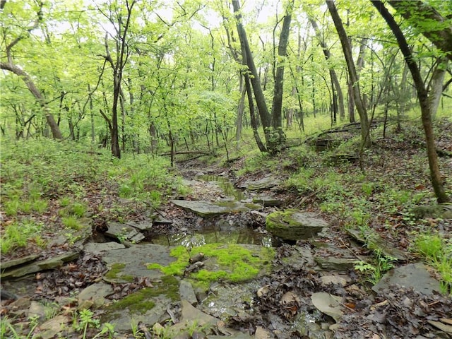 1267 Rock Creek Rd, Williamsburg, KS 66095