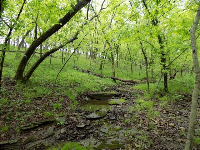 1267 Rock Creek Rd, Williamsburg, KS 66095