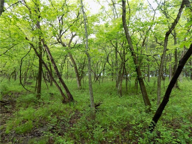1267 Rock Creek Rd, Williamsburg, KS 66095