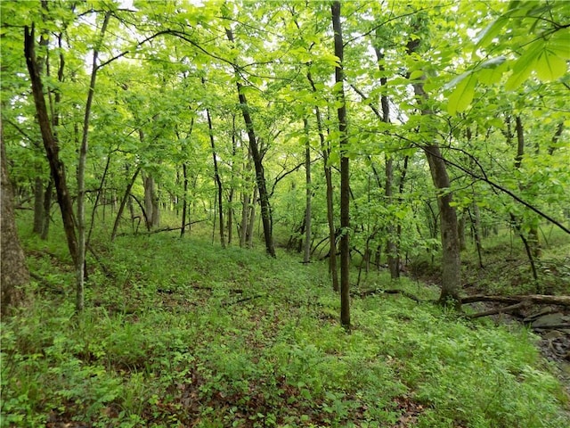 1267 Rock Creek Rd, Williamsburg, KS 66095