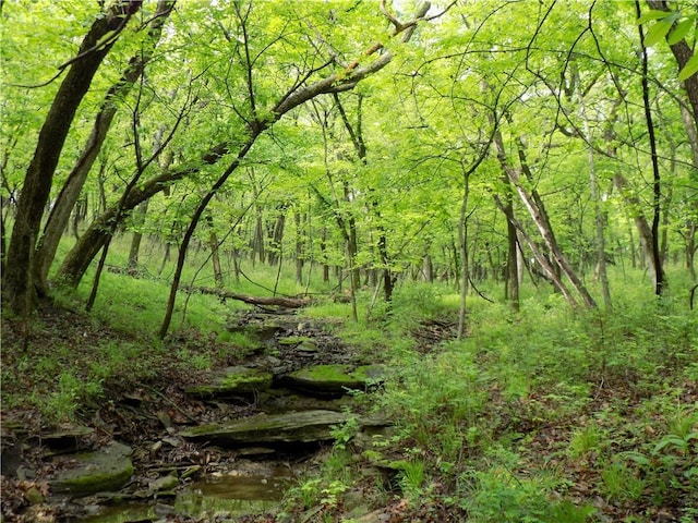 1267 Rock Creek Rd, Williamsburg, KS 66095