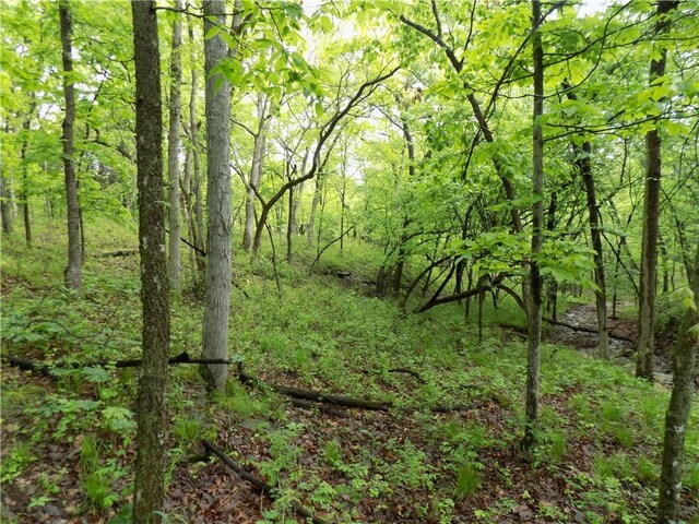 1267 Rock Creek Rd, Williamsburg, KS 66095