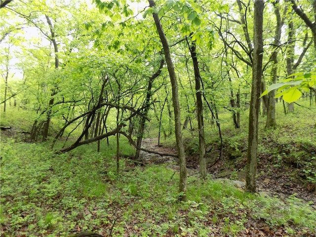 1267 Rock Creek Rd, Williamsburg, KS 66095