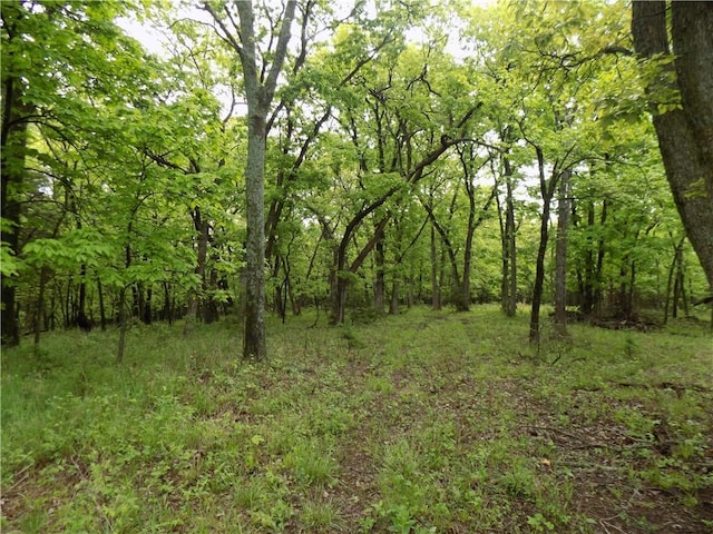 1267 Rock Creek Rd, Williamsburg, KS 66095