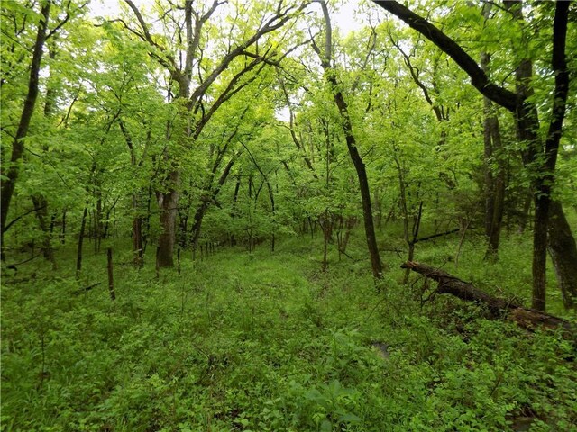 1267 Rock Creek Rd, Williamsburg, KS 66095