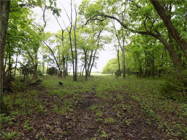 1267 Rock Creek Rd, Williamsburg, KS 66095