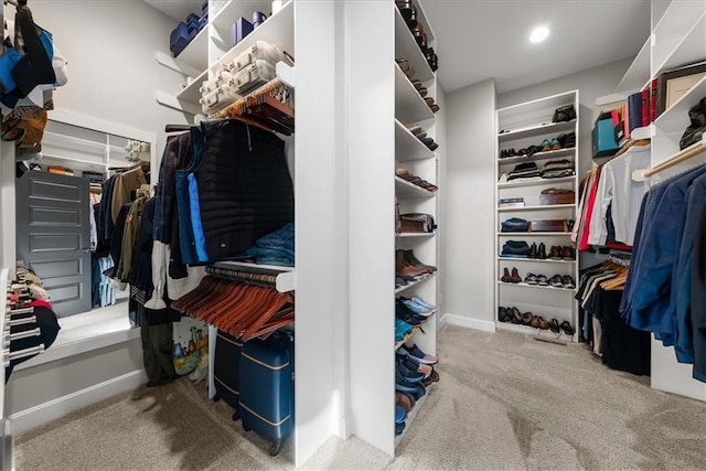 spacious closet featuring carpet flooring