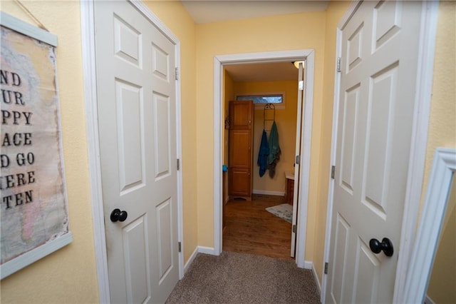 corridor featuring carpet floors