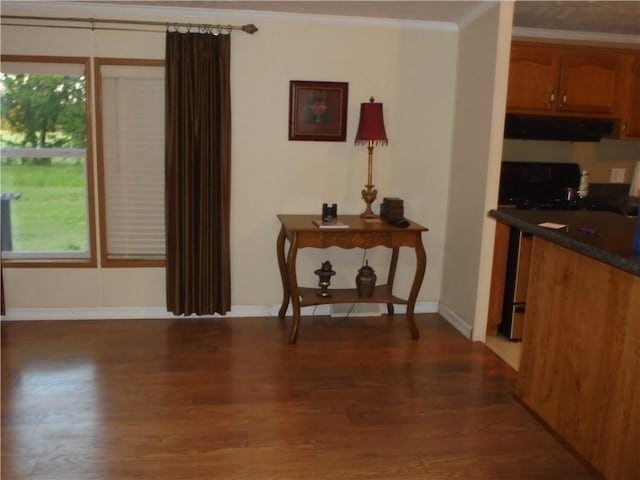 interior space with exhaust hood, dark wood-type flooring, and ornamental molding