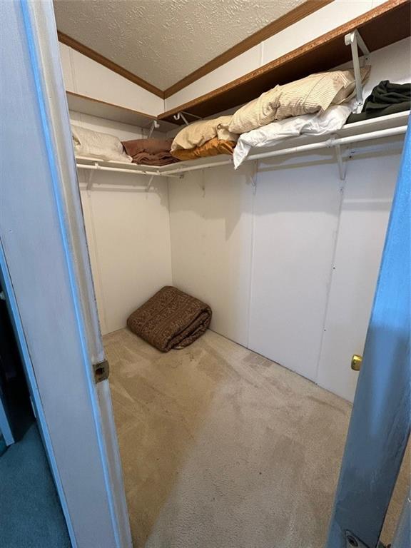 walk in closet with light colored carpet and vaulted ceiling