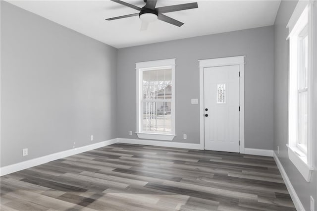 foyer featuring ceiling fan, plenty of natural light, and dark wood-type flooring