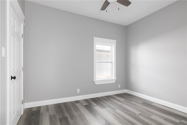 unfurnished room with light hardwood / wood-style floors and ceiling fan