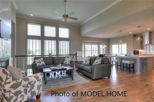 living room featuring ornamental molding, sink, and light hardwood / wood-style flooring