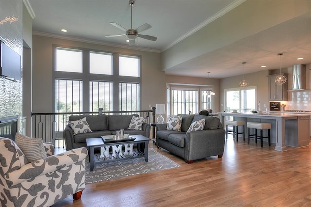 living room with sink, crown molding, and dark hardwood / wood-style floors